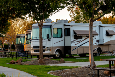 Motor Homes